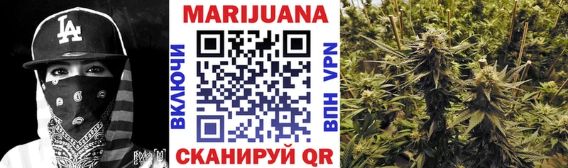 Конопля OG Kush  Купить где  Шиханы 